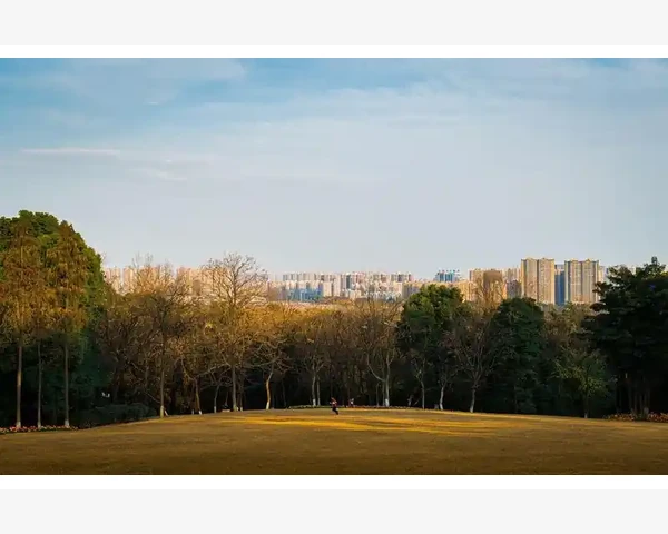 从面相看脾胃健康程度：简单实用的身体智慧