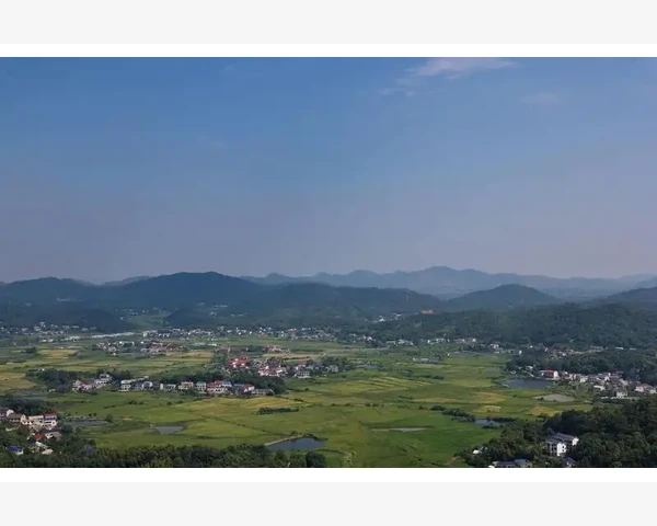 会计出纳同一人的合规风险与实操对策