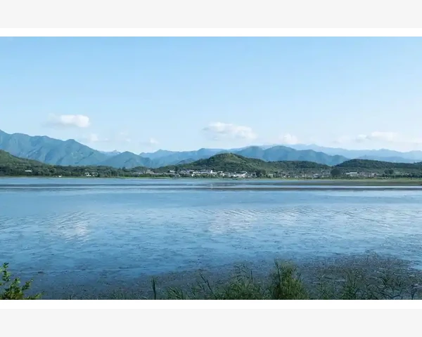 会计出差频率真相与行业实务揭秘